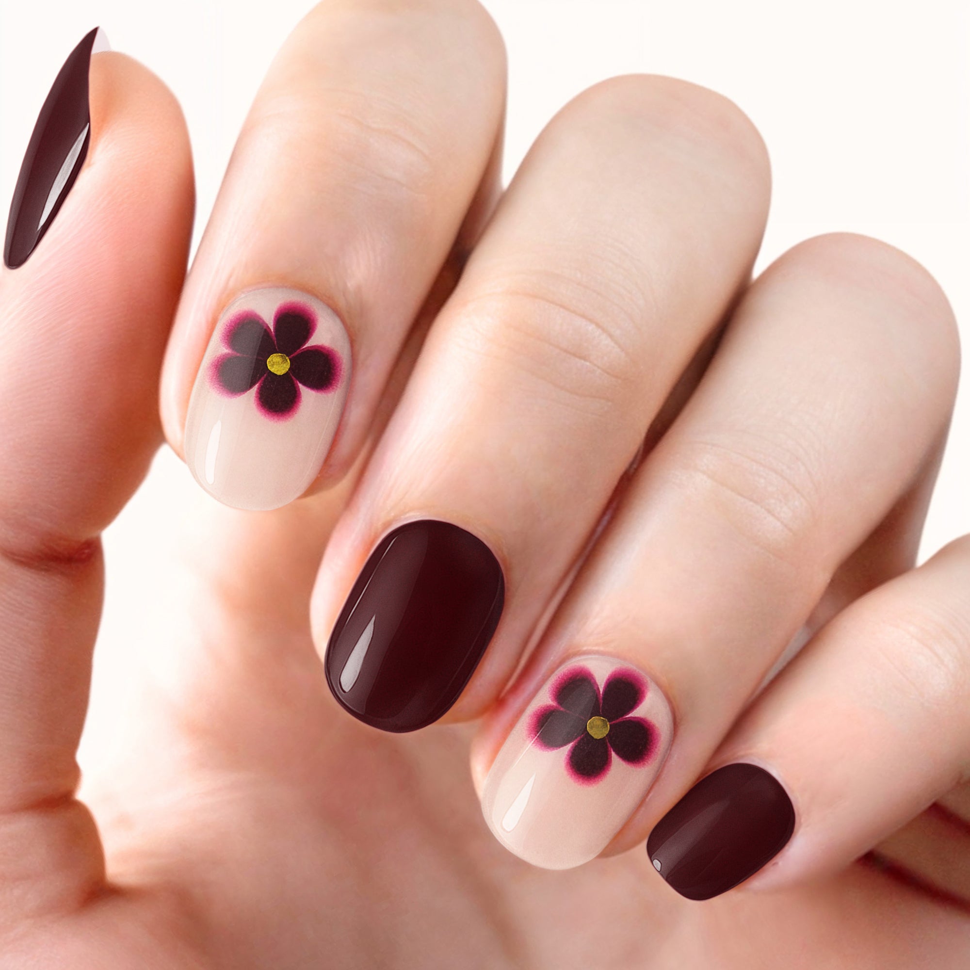Merlot Bloom