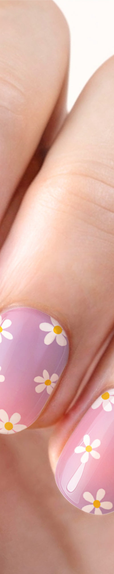 751-DaisyFields_Raedy.jpg