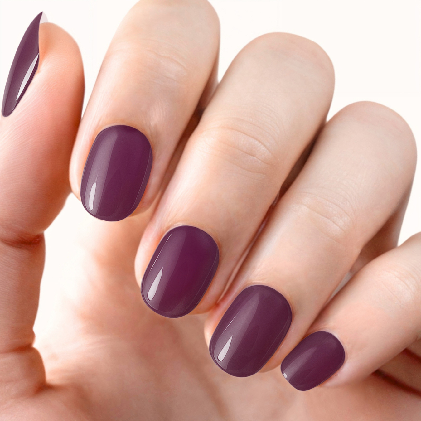 Plum Noir