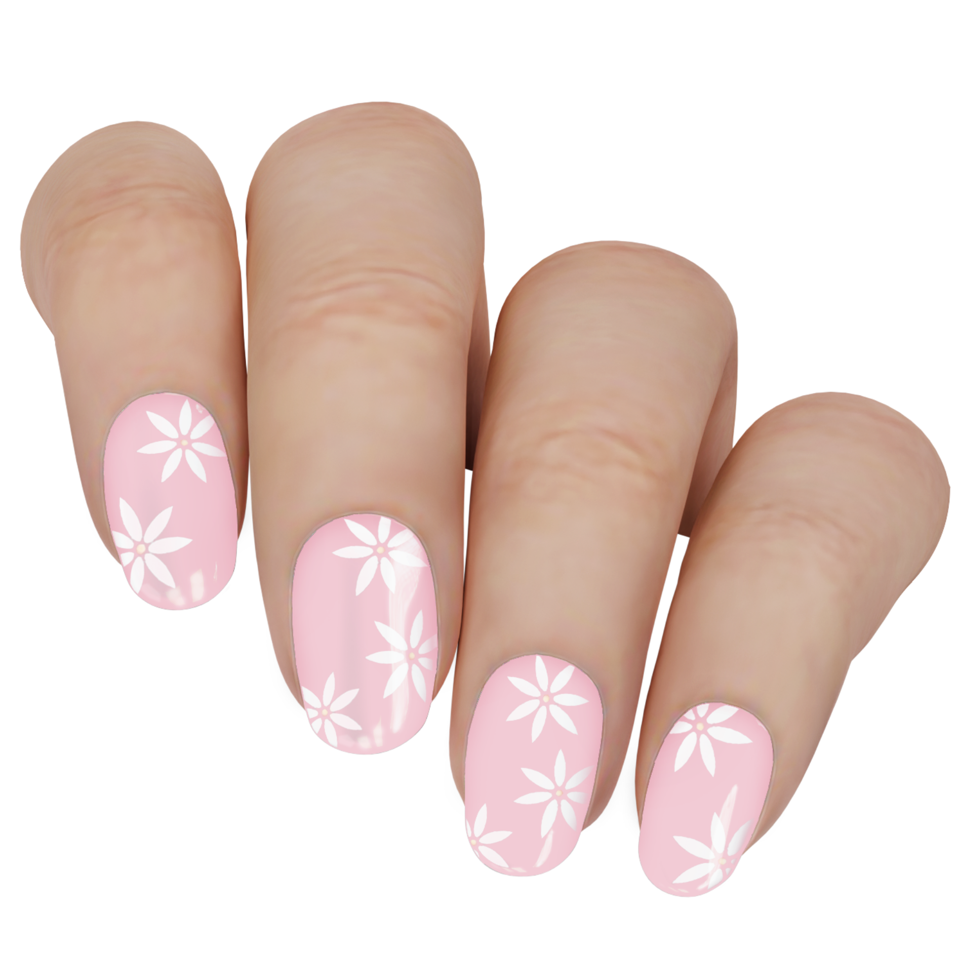 Pretty Pink Daisies